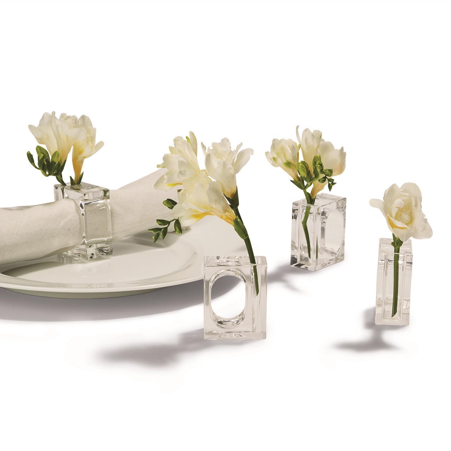 Twos Company Acrylic Napkin/Bud Vase