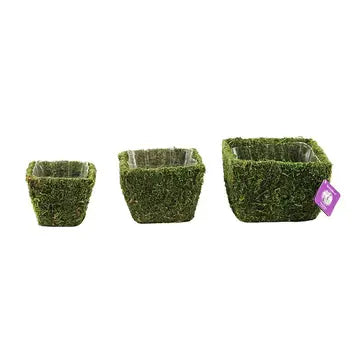 Super Moss Windsor Basket - Large