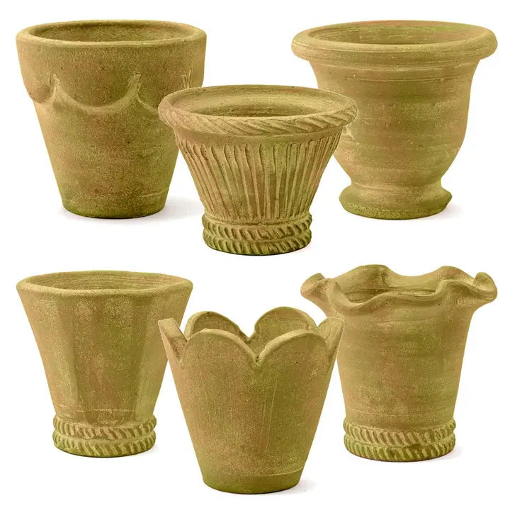 Botanical Collection Tall Herb Pots Set Of 6, Verde Natural