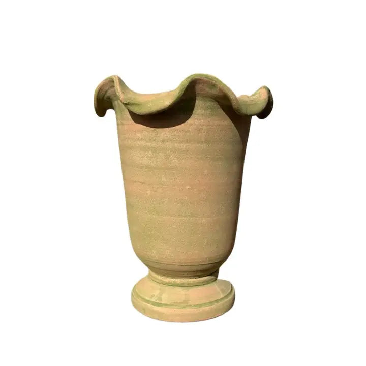 Bot Collection Chantecler Footed Cachepot#8, Verde Natural