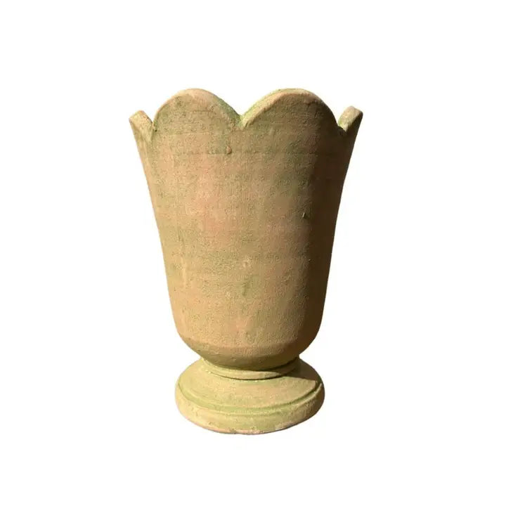 Botanical Collection Survey Cachepot #8, Verde Natural