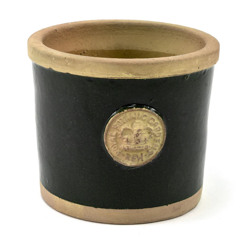 Bot Collections Chelsea-kew Round Herb Pot/blackberry