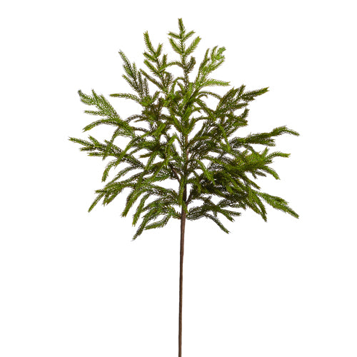 Raz 33in Norfolk Pine Spray