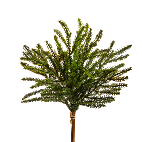 Raz 18" Balsam Fir Bundle