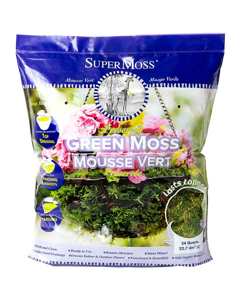 Super Moss Preserved Forest Moss - 24 QT