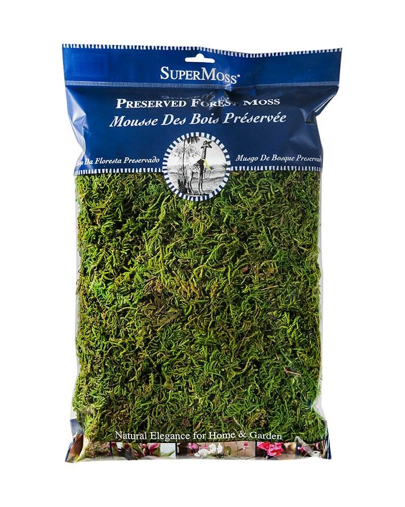 Super Moss Forest Moss Preserved - 8 oz