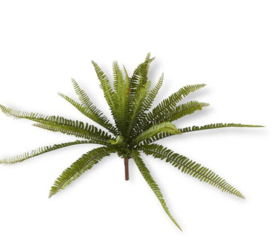 K&K Fern Bush, 26"
