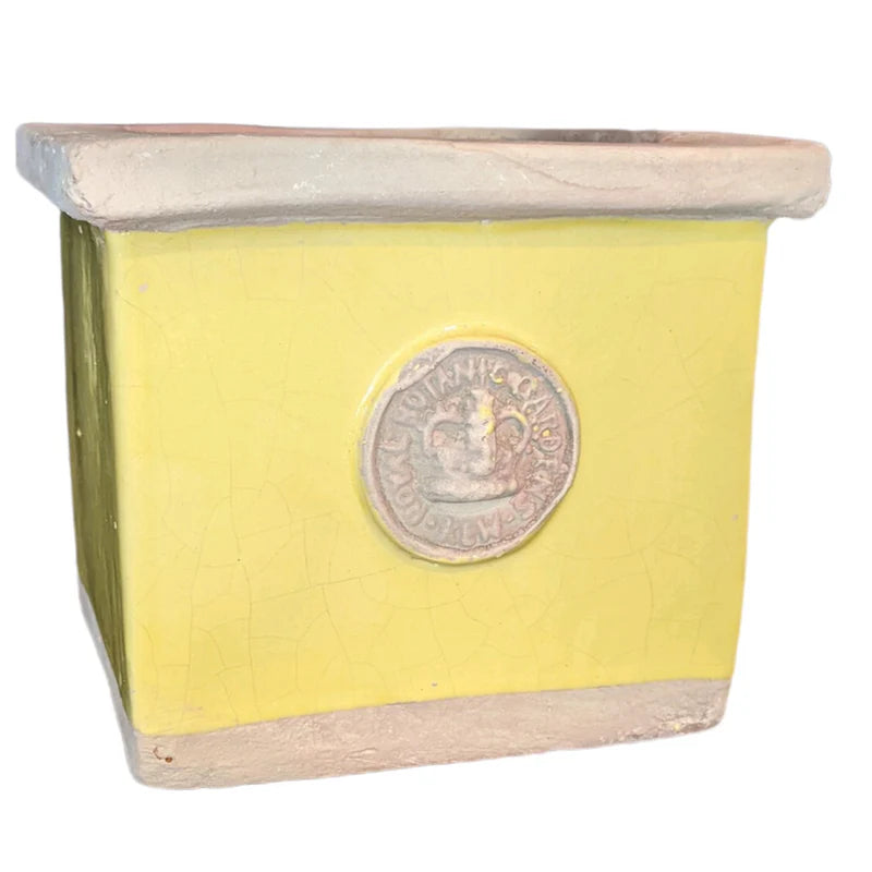 Bot Collection Cornwall Square Herb Pot, Yellow Cake