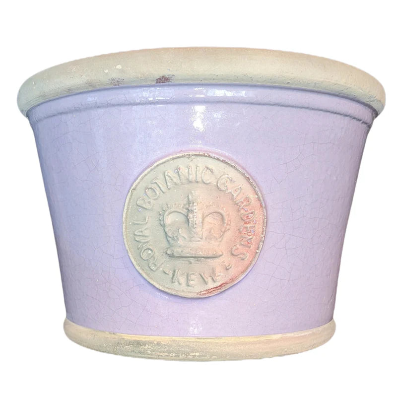 Bot Collection Windsor Small, Lavendar