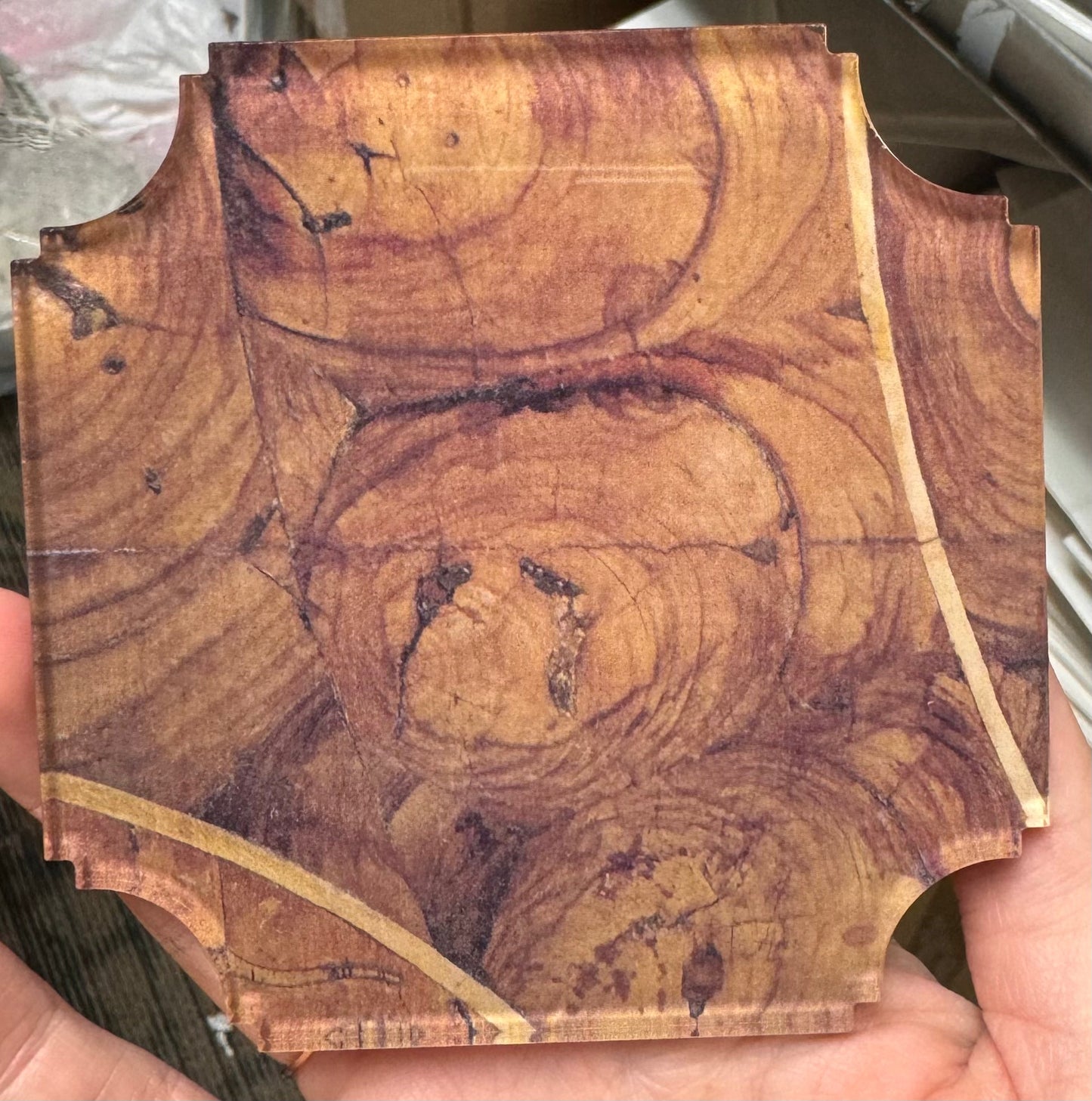 Reprotique Oyster Veneer Coasters