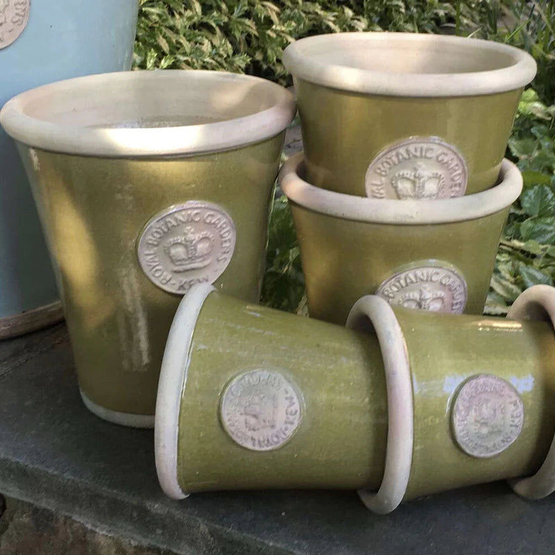 Bot Collection Cotswold Medium, Moss Green