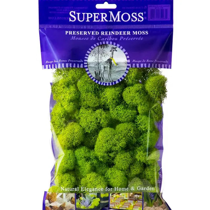 Super Moss Reindeer Moss