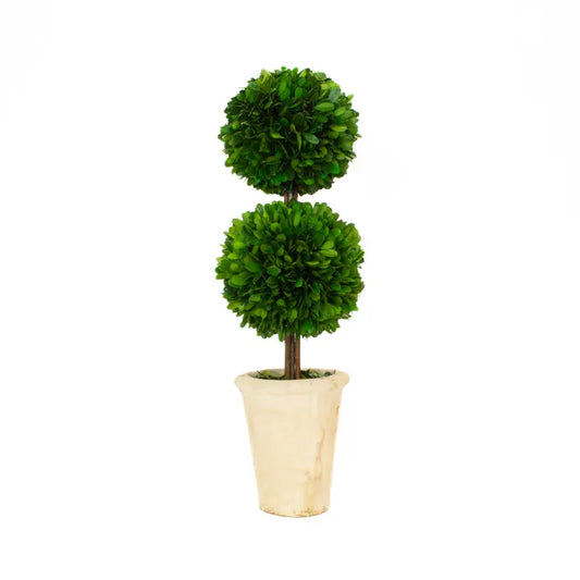 Mills Floral Co Preserved Boxwood Topiary Double Ball - 20 Inch