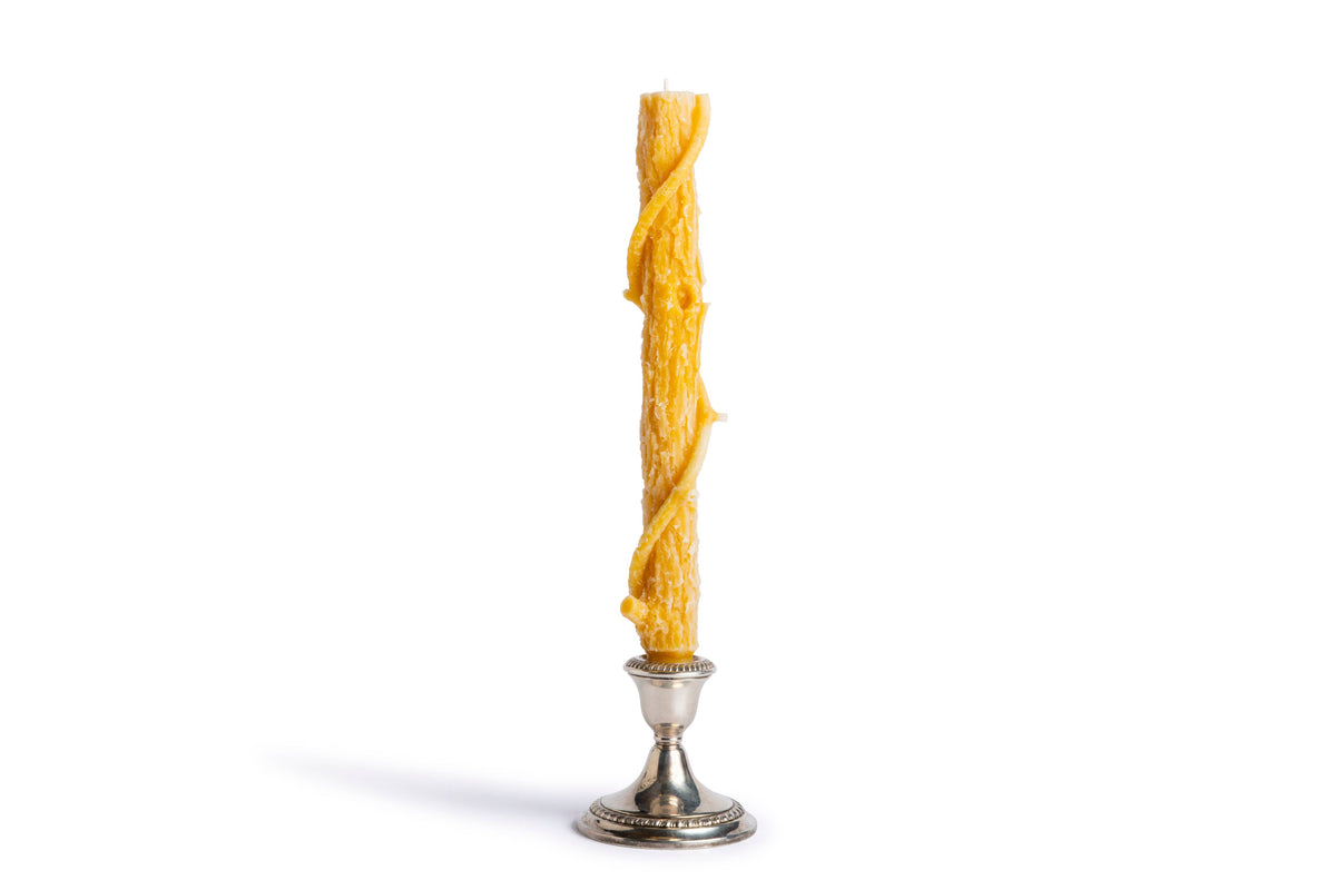 Bittersweet Oak Colossal Taper ~ "The Vine" / Single