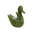Super Moss Deco Moss Swan