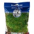 Super Moss Mood Moss
