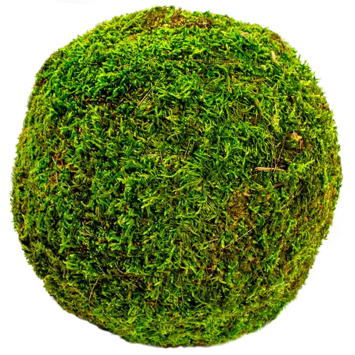 Super Moss Moss Balls 8in