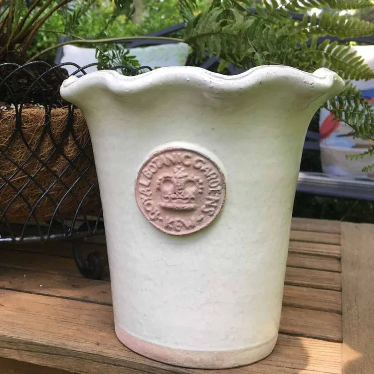 Bot Collections Salisbury Kew Piecrust Cachepot,ivory
