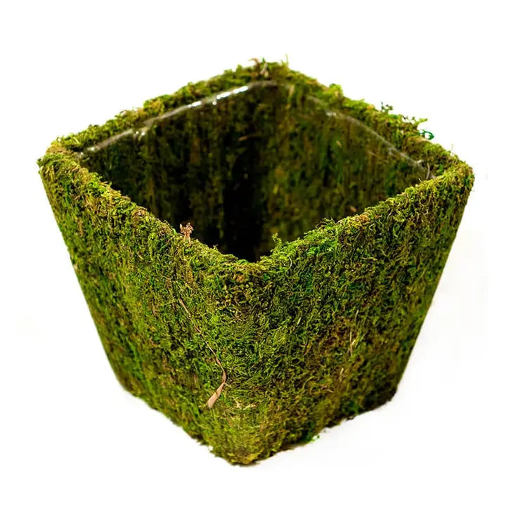 SuperMoss Deco Basket