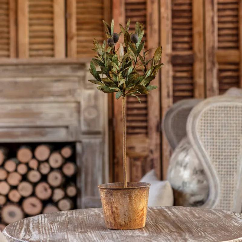 Porchview Olive Topiary