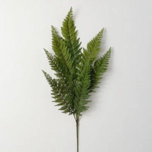 Sullivan's Fern Spray