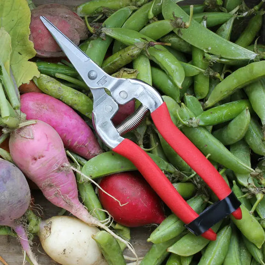 WW Harvesting/Garden Shears