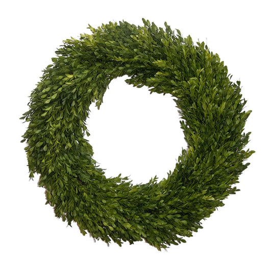 Fig & Dove 24" UV Protected Boxwood Wreath, Round