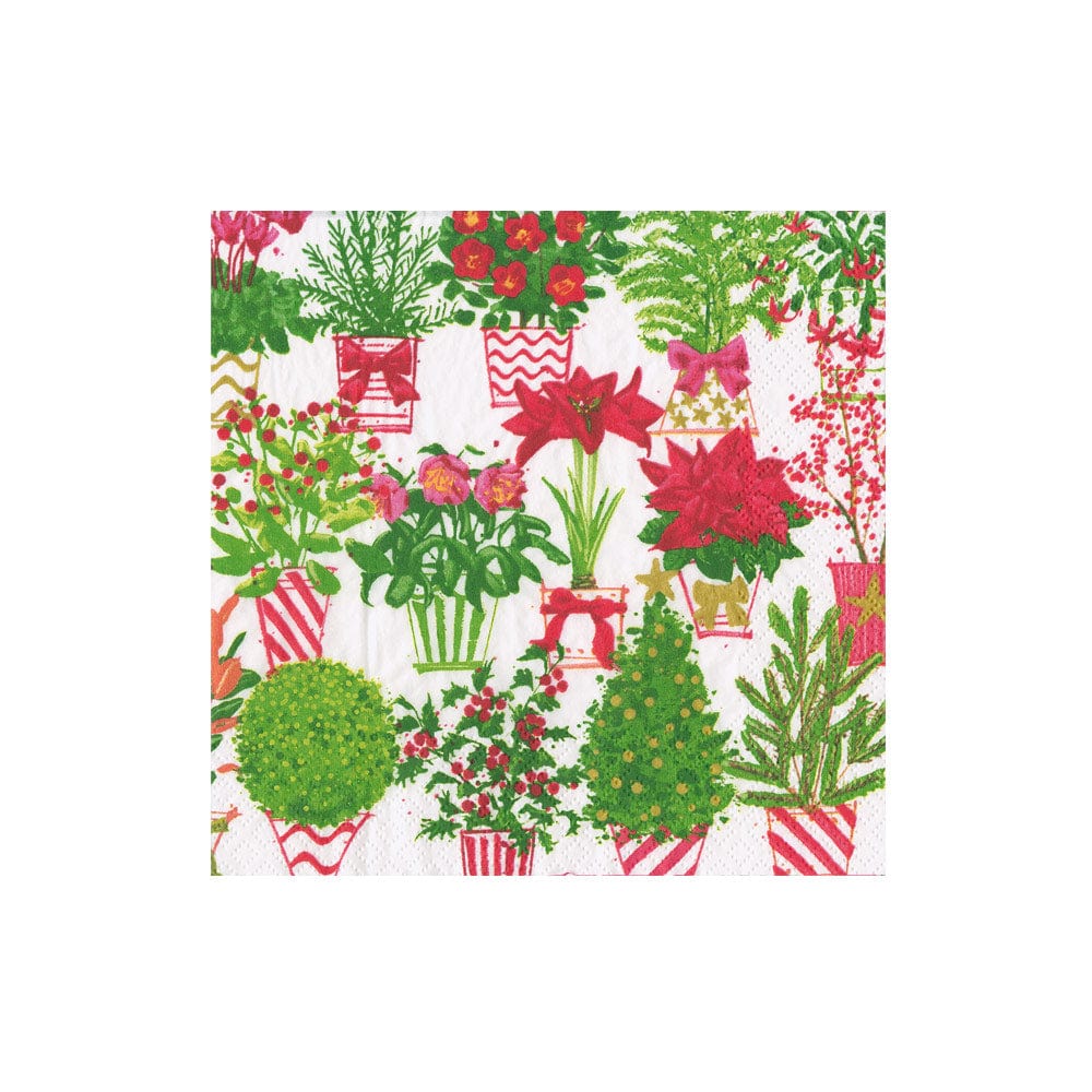 Caspari Christmas Flower Market Napkin Box Cocktail