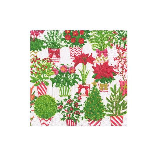 Caspari Christmas Flower Market Napkin Box Cocktail