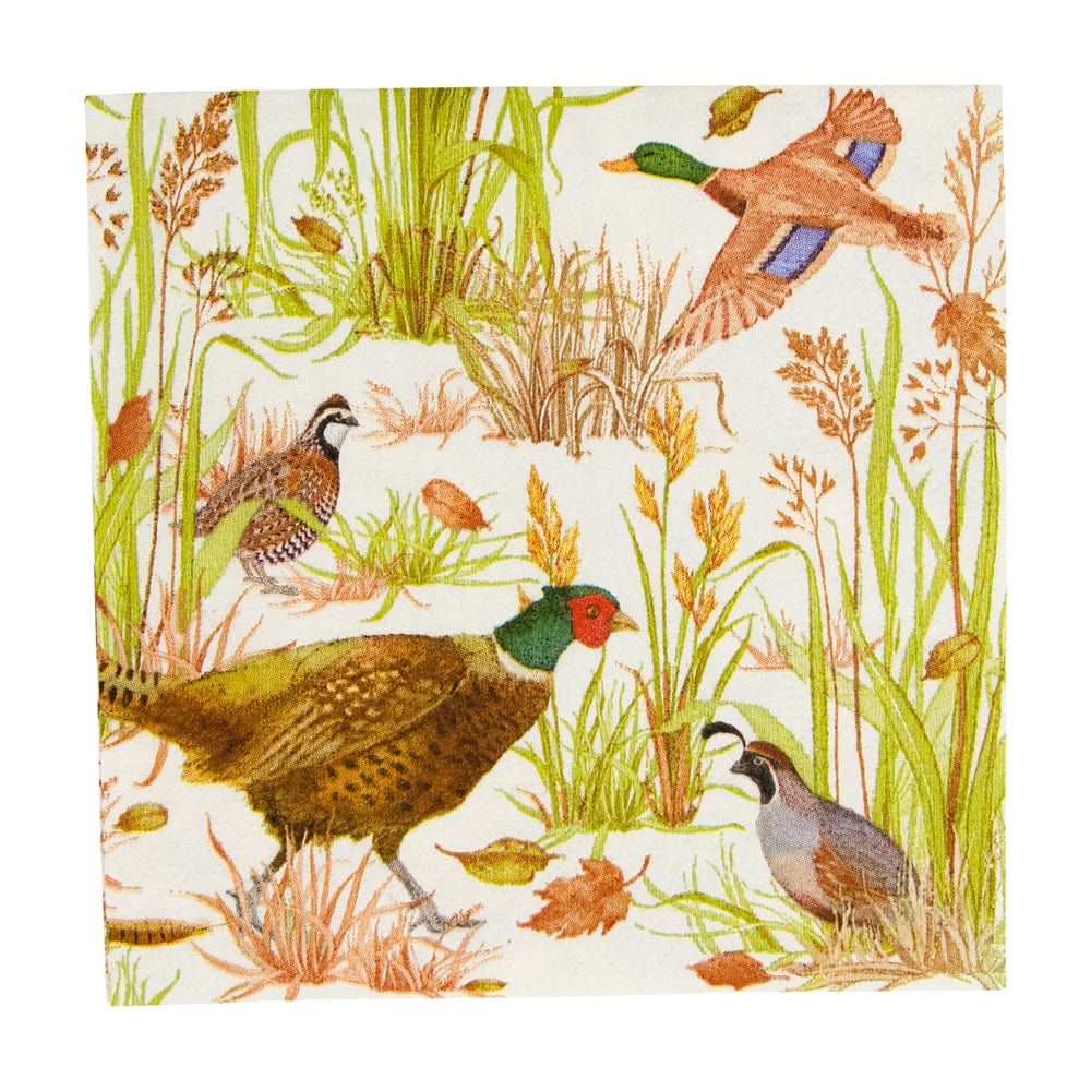 Caspari Boxed Birds Of A Feather Cocktail Napkin