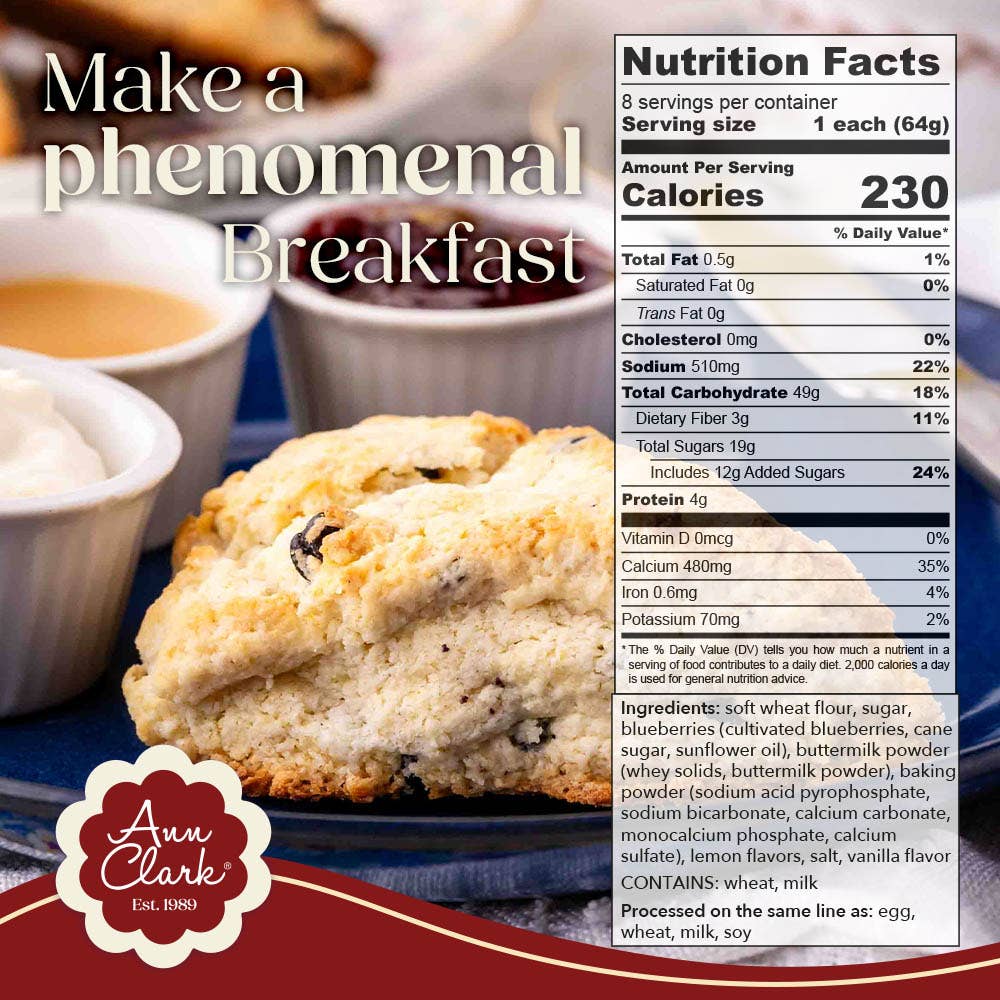 Traditional Lemon Blueberry Scone Mix, 16 oz