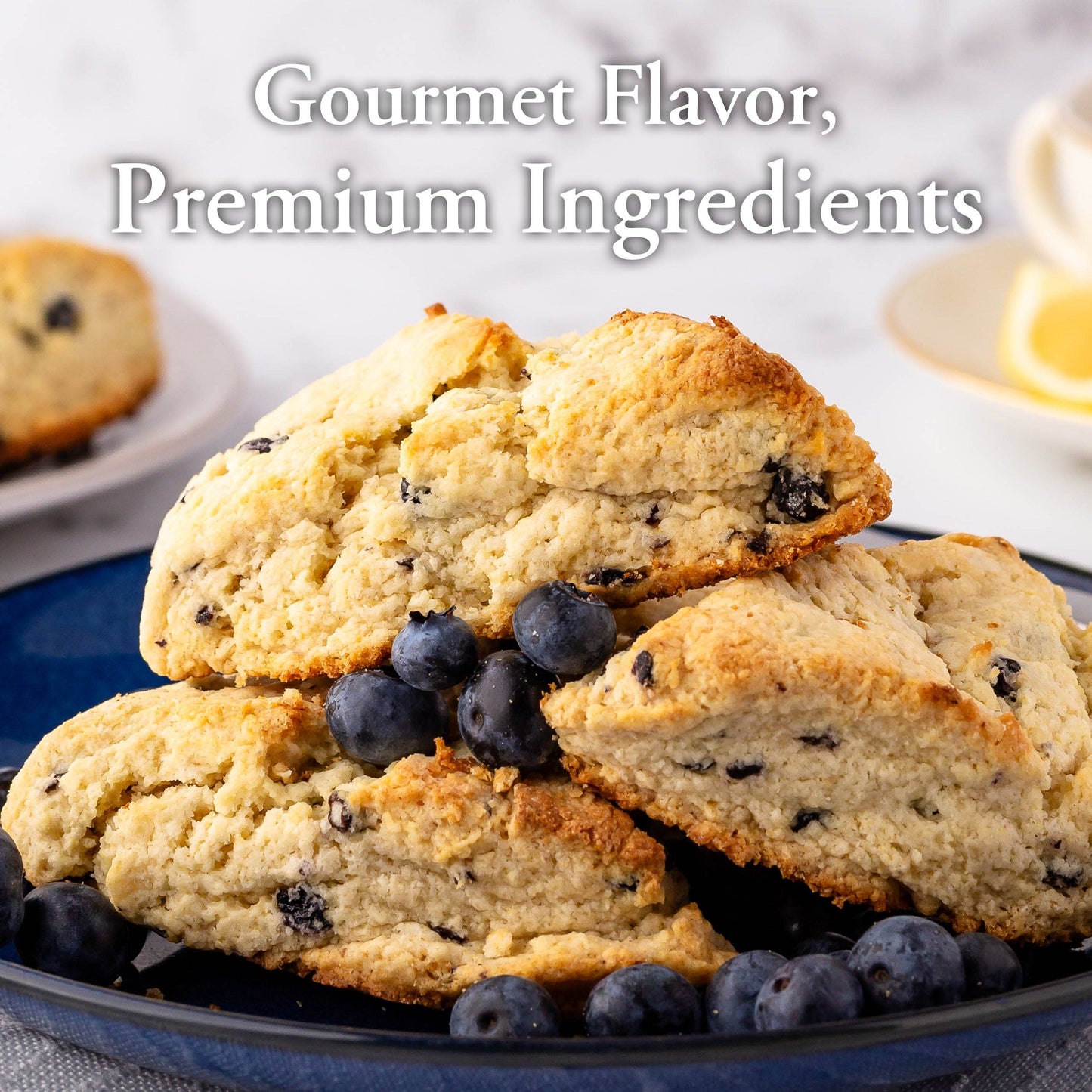 Traditional Lemon Blueberry Scone Mix, 16 oz