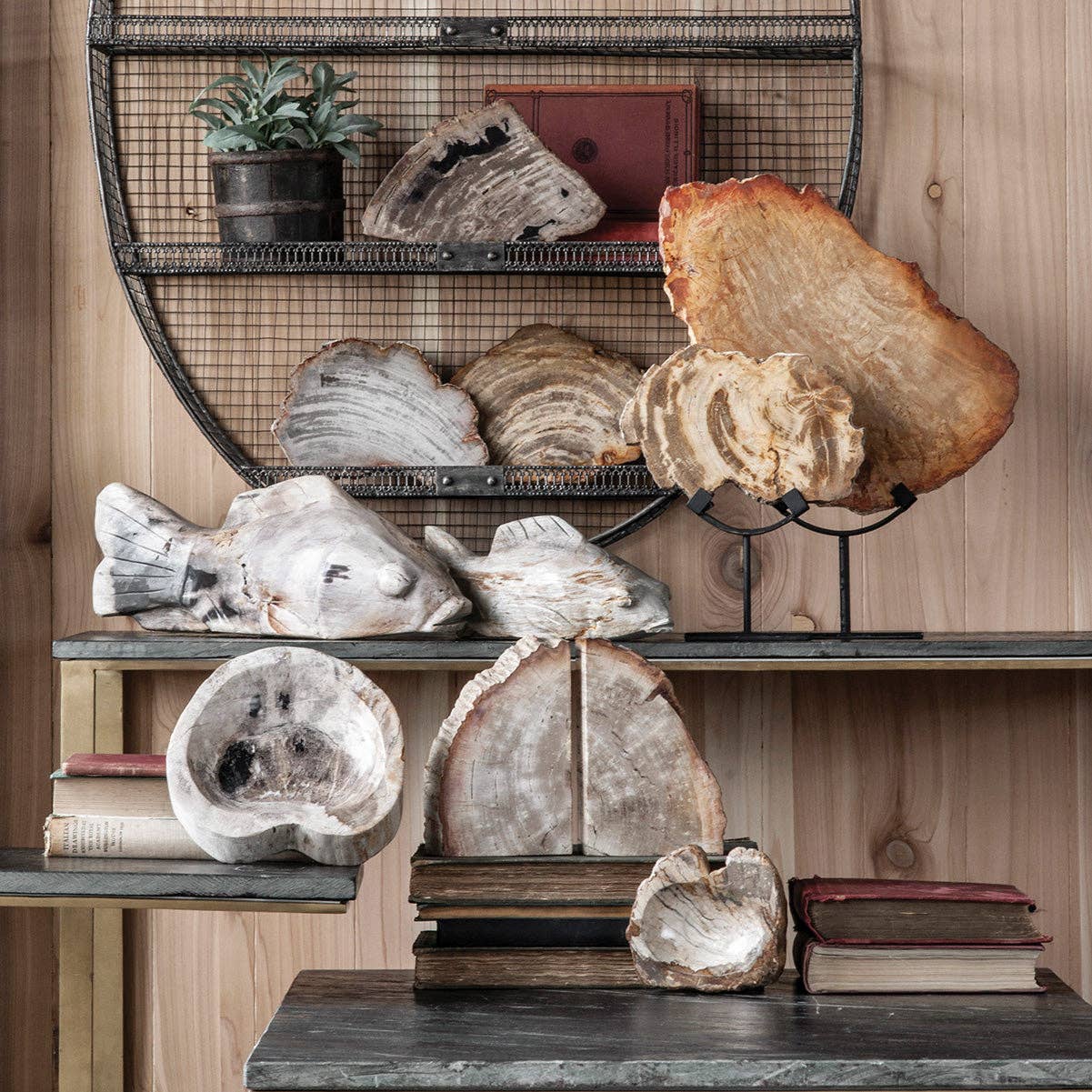 Petrified Wood on Iron Stand