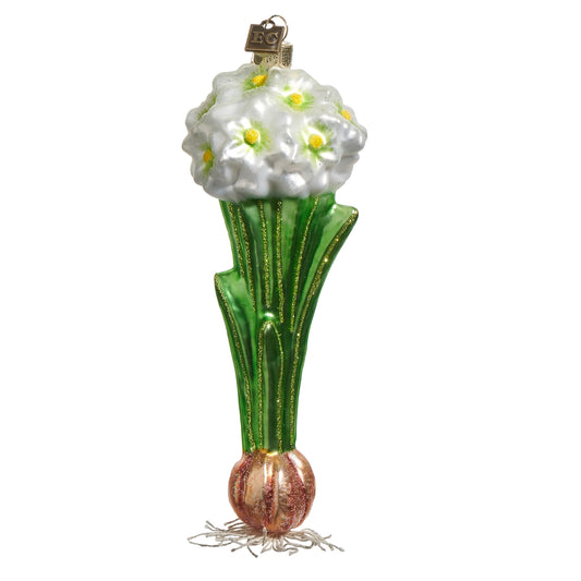 Raz Paperwhite 7" Ornament