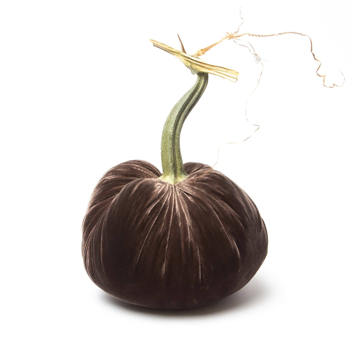 Espresso Silk Velvet Pumpkin