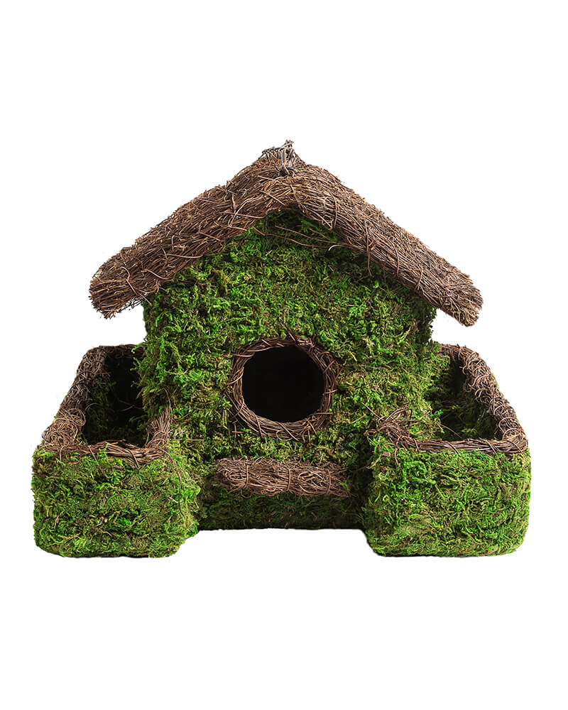 Super Moss Plantable Birdhouse