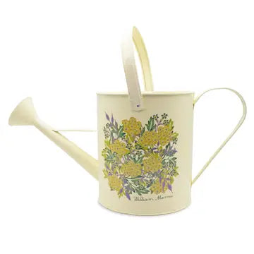 Orange Grove Watering Can