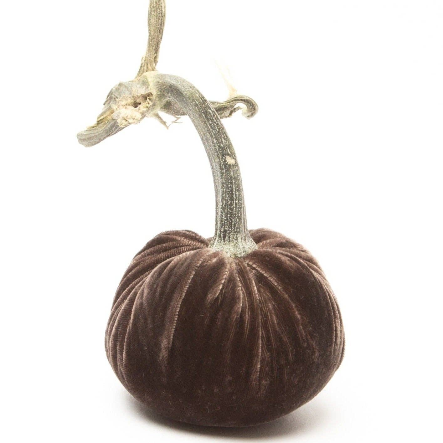 Espresso Silk Velvet Pumpkin
