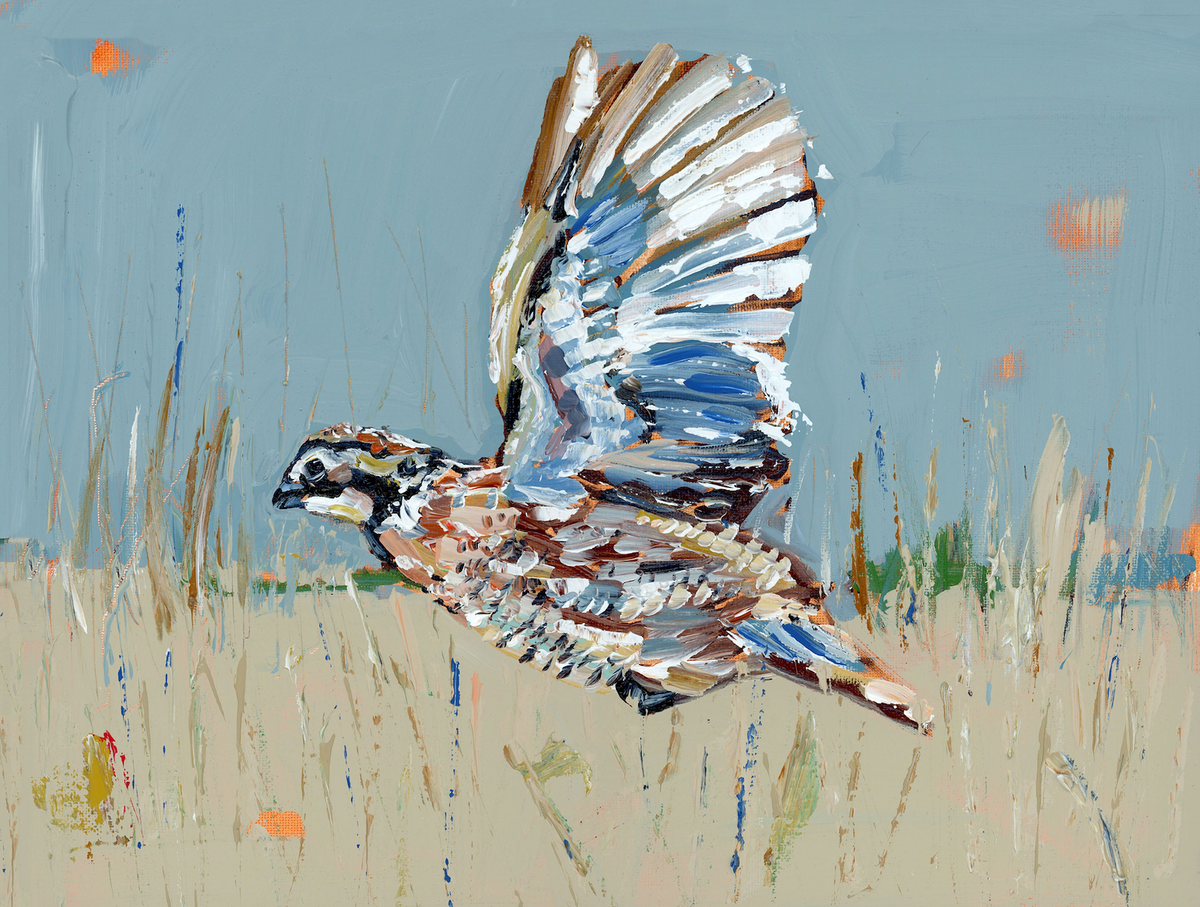 Quaint Quail on Hand-signed Fine Art Paper