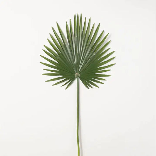 Sullivan's Palmetto Leaf