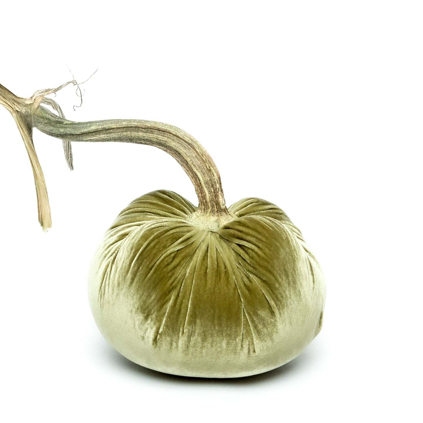 Celery Silk Velvet Pumpkin