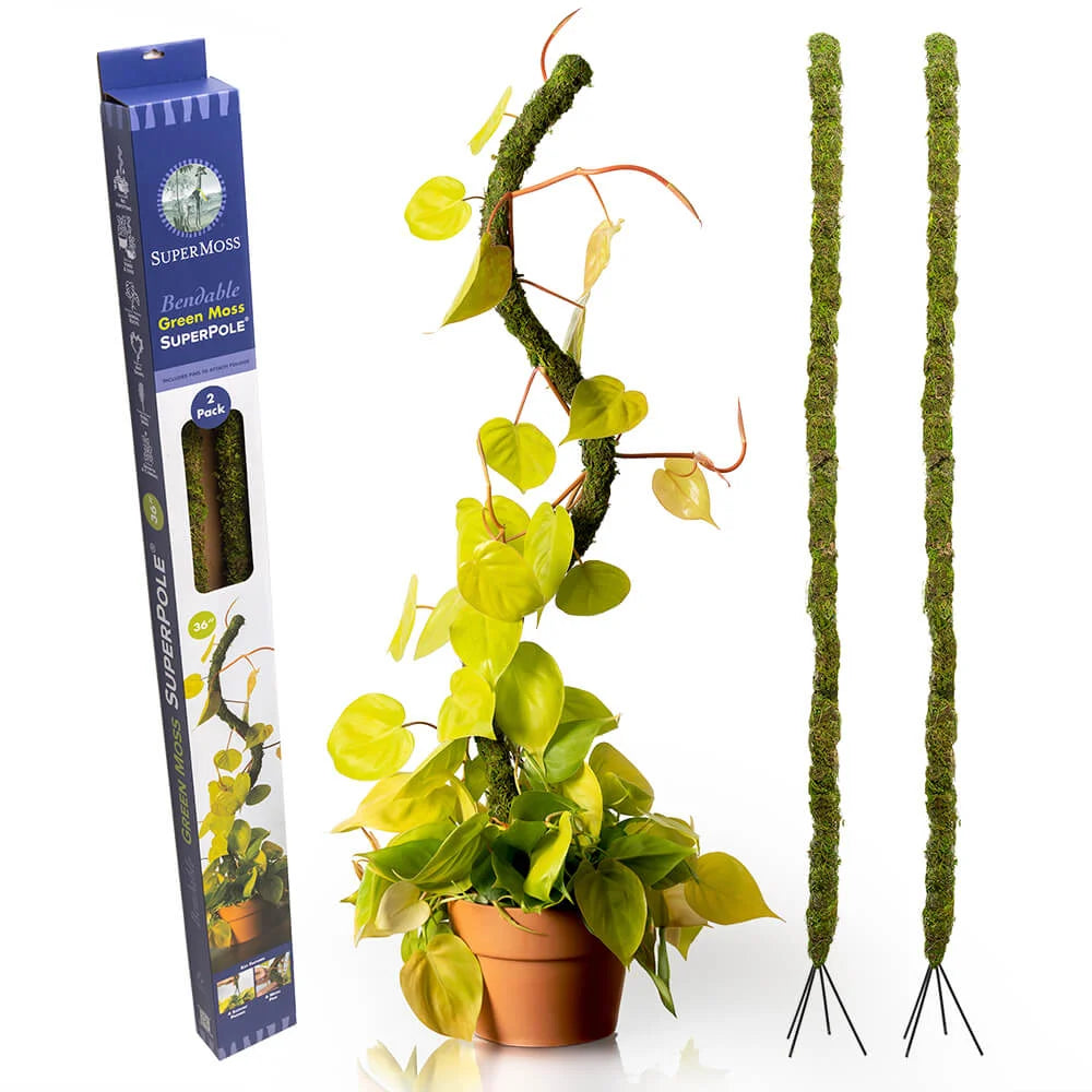 Super Moss Bendable Green Moss Superpole
