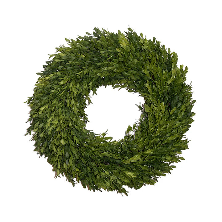 Fig & Dove 18" Round UV Protected Boxwood Wreath