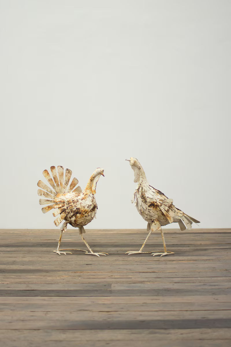 Male & Female Fall Turkey