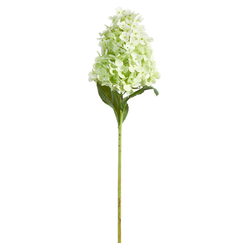Raz 29" Real Touch Green Hydrangea Stem