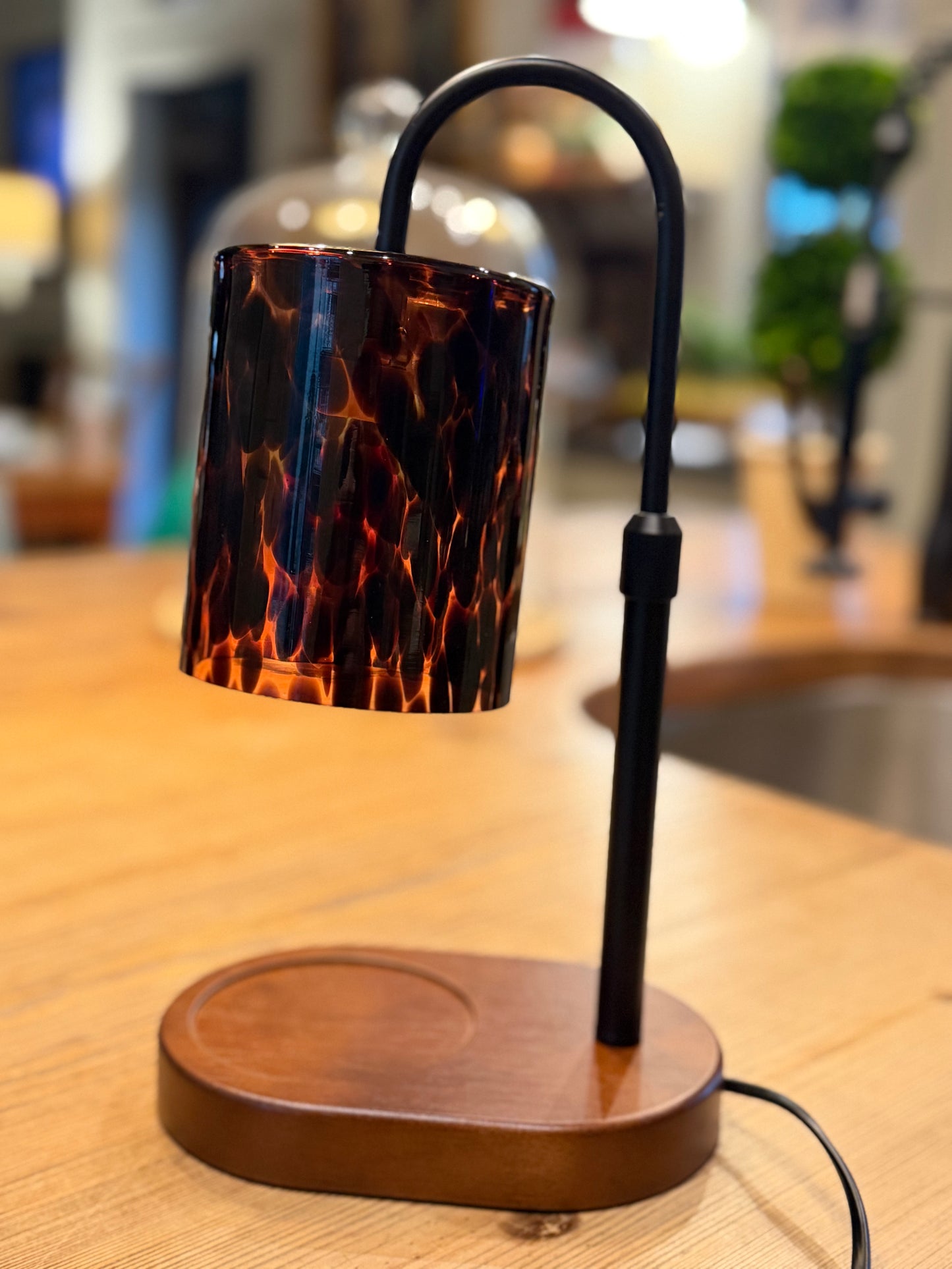 Tortoise Candle Warmer