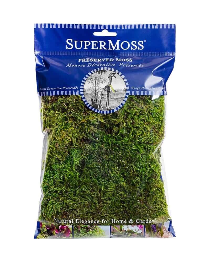 SuperMoss preserved forest moss