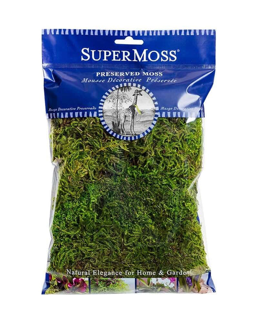 SuperMoss preserved forest moss