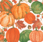 Caspari Pumpkin Field White Napkin, Cocktail