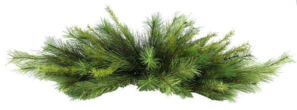 A&B 42" Appalachian Pine Centerpiece